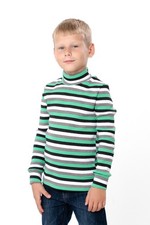 Boys  Turtleneck   Warm  Stylish for Demi-Season, Demi-season, Nosi svoe 60...