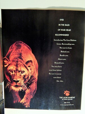 LION HABITAT  AT MGM GRAND HOTEL IN LAS VEGAS)  VTG 1999 AD