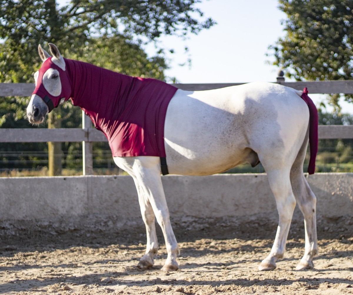 Hotte De Cheval En Lycra Equestriana – Bordeaux – Taille M (5'6-5'9) – Neuf