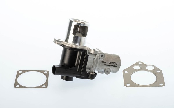 BorgWarner 710928D Agr-Ventil FüR Dacia Passend FüR Nissan Renault-image