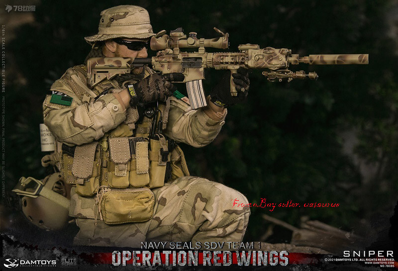 Perfect Damtoys 1/6 78085 Red Wings - Navy Seals Sdv Team 1