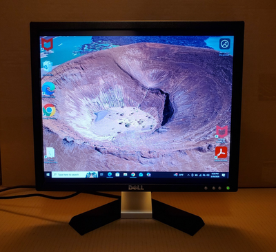 Dell E197FPF 19
