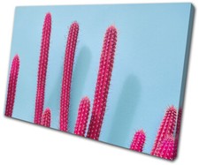 Cactus Bright Pink Botanical Floral SINGLE CANVAS WALL ART Picture Print