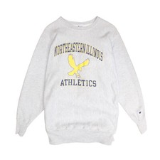 Vintage Northeastern Illinois Champion Reverse Weave Sweatshirt Size 2XL 90s