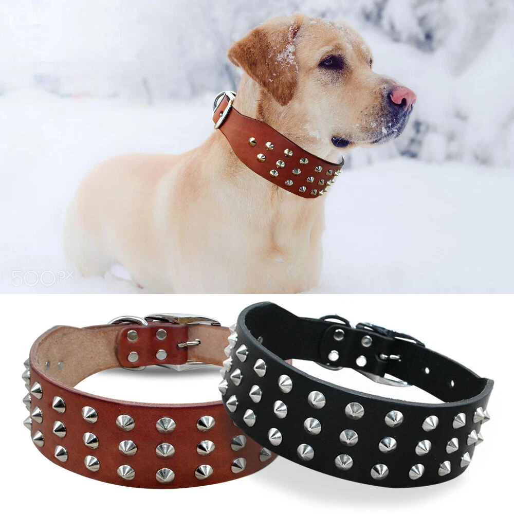 Genuine Leather Collar Rivets Studded Dog Collars for Rottweiler Labrador  XS M L | eBay