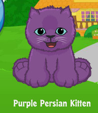 Webkinz Purple Persian Kitten Virtual Adoption Code Only Messaged Webkinz Promo 