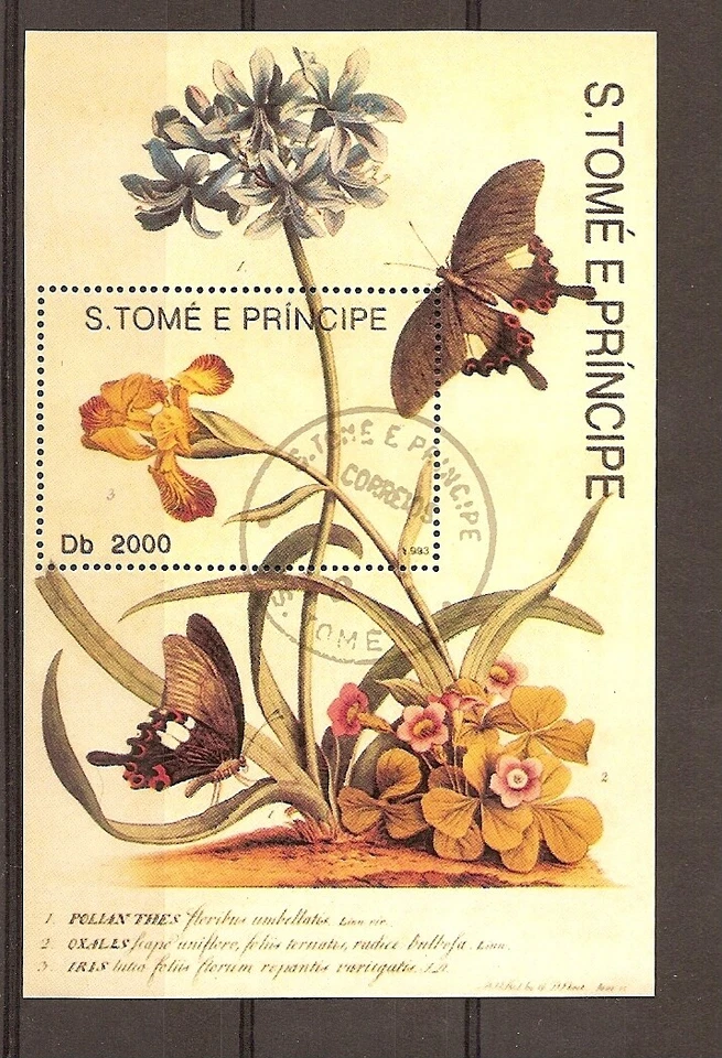 papillons Bloc FeuilleT oblitéré 25 SAN TOME ET PRINCIPE - Photo 1/1