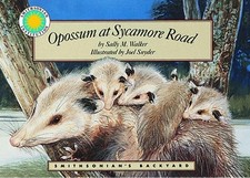 Opossum at Sycamore Road (Smithsonia..., Sally M Walker