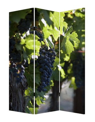 48'' X 72'' Multi Color Wood Canvas Wine Country Screen