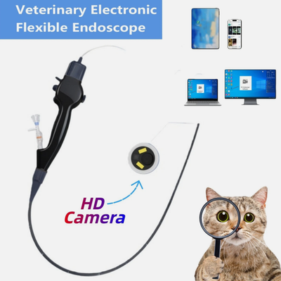 #ad Veterinary Electronic Flexible Endoscope Portable handle SP SDWJB5826 OD 5.8mm $210.00