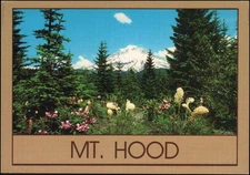 unused PPC, Mt. Hood, OR