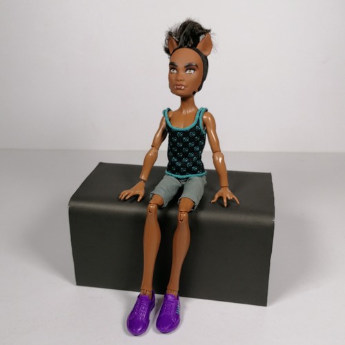 Monster High Pack of Trouble Clawd Howleen Clawdeen Wolf Familie Set gebraucht LESEN - Bild 7 von 19
