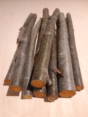 1 Rowan Wood Stick Length 13'' / 33cm, Sold Individually, Mountain Ash Magic