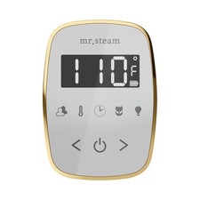 Mr Steam TempoFlex Steam Shower Control and Steamhead in White OilRubBronze