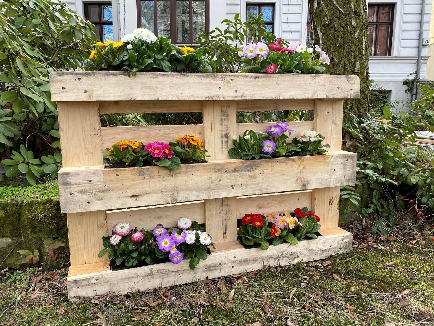 Bild 6 von 9
