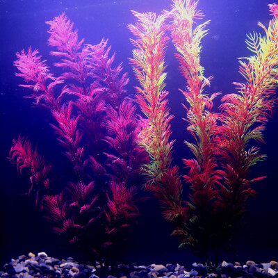 Artificial Plants for Fish Tanks: Ultimate Guide to Stunning Aquariums