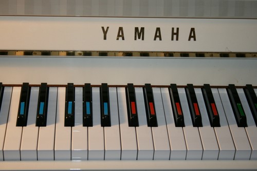 Keyboard Color Stickers Makes Learning Piano EASY Beginners Play in just 1 hour - Picture 5 of 11