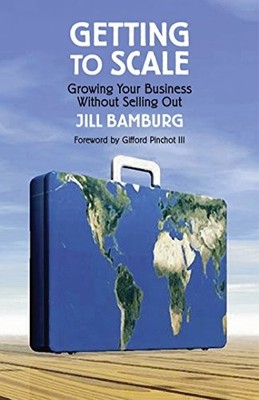 GETTING TO SCALE: GROWING YOUR BUSINESS WITHOUT SELLING By Jill Bamburg *VG+*