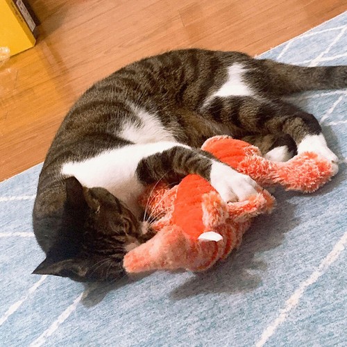 USB Charging Floppy Lobster Dog Toys Throbbing Pet Interactive Toys Dogs Cats DX - Picture 11 of 13