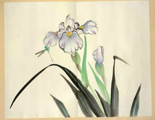TOMBO IRIS LIBELLE Japanische Pinselmalerei Original Vintage