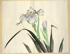 TOMBO IRIS DRAGONFLY Japanese Brush Painting Original Vintage