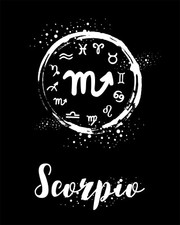 Scorpio The Scorpion BLACK Fearless Ambitious Dynamic Zodiac Astronomy -MAGNET