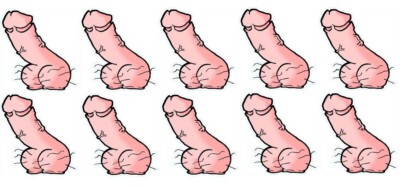 x5 adesivi per pene in vinile a forma di 10 cm laptop gallina