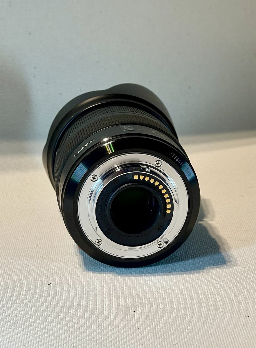 Panasonic Lumix G X Vario 12-35mm f/2.8 II Micro Four Thirds H