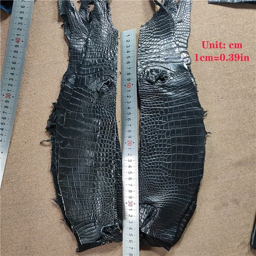 1X Real Alligator Skin Hide Genuine Crocodile Belly Leather Pelt Craft Material - Picture 4 of 10