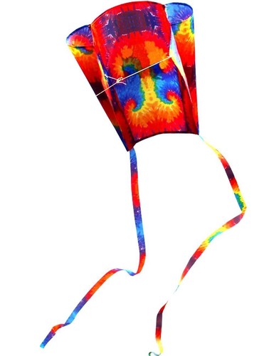Multi Firework Mini Parafoil Single Line Kite Outdoor fun sports Toys kites NEW - 第 1/5 張圖片