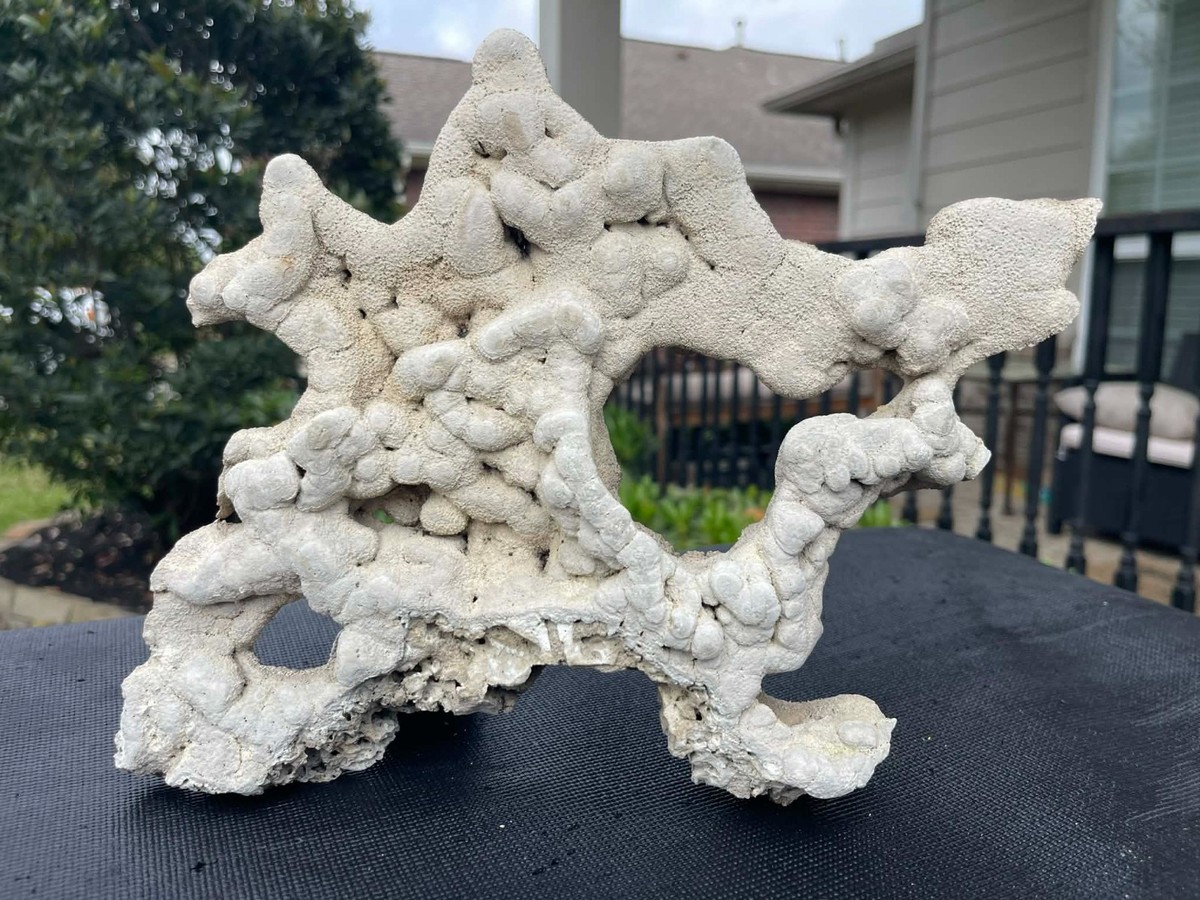 AQUARIUM ROCK GEYSERITE REPTILE ART TERRARIUM PET GARDEN FISH