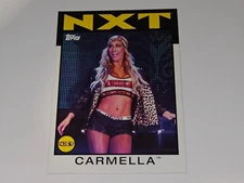 WWE Heritage Topps 2016 Single Wrestling Cards PICK FROM LIST! SEE PHOTOS!
