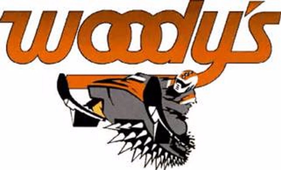 WOODYS TRAIL BLAZER BARRAS DE DESGASTE DE METAL DURO RUNNERS ARCTIC CAT EXT 550 580 JAG 440 - Imagem 2 de 2