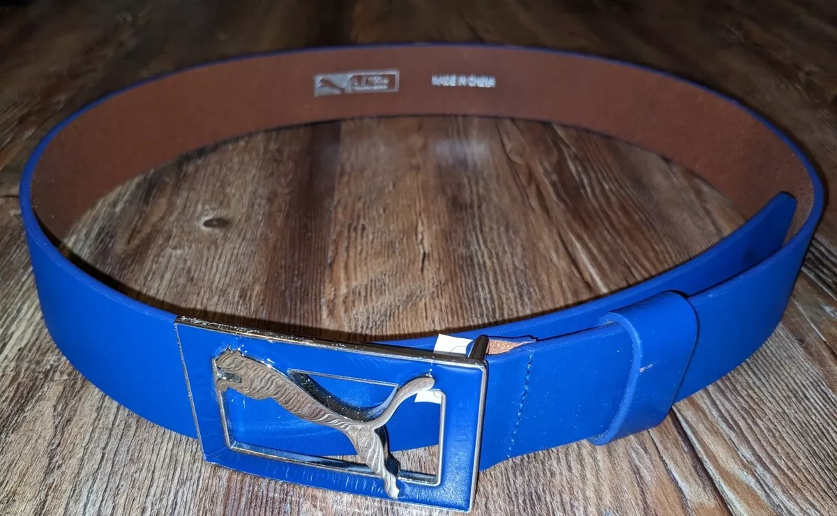 Puma buckle 2025
