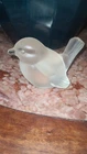 Fenton Glass Bird Figurine Frosted