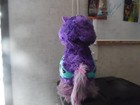Hatchimal Purple LLama — photo 3