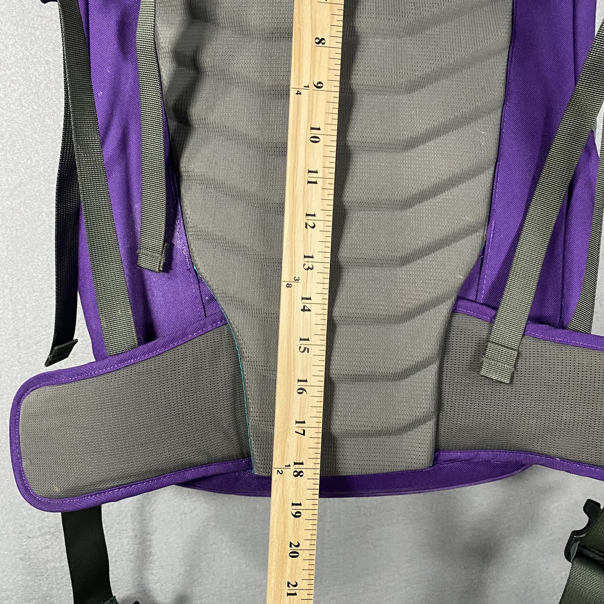 Patagonia Critical Mass 22L Daypack Commuter Backpack Bag 