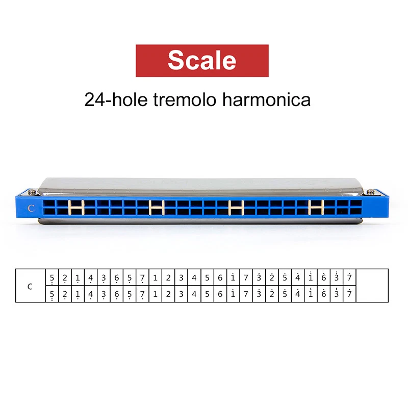 Harmonica 24 holes key of c deals