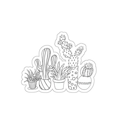 clear orchid plant pots 3 Clear Orchid Pots
