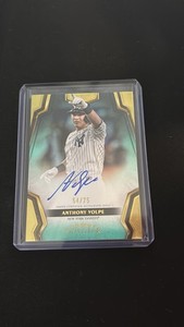 Anthony Volpe Auto | eBay