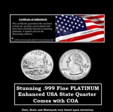 Superb State Quarter .999 fine PLATINUM Enhanced Commemorative Coin w/COA #B307