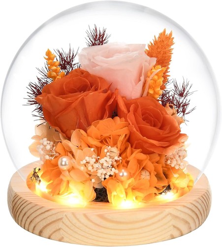 Valentines Day Gifts for Her, Preserved Real Rose in Glass Dome with Orange