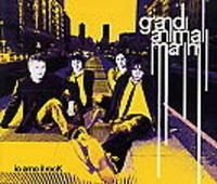 Grandi Animali Marini - IO AMO IL Rock CD 2006 Pop-Rock International WEA