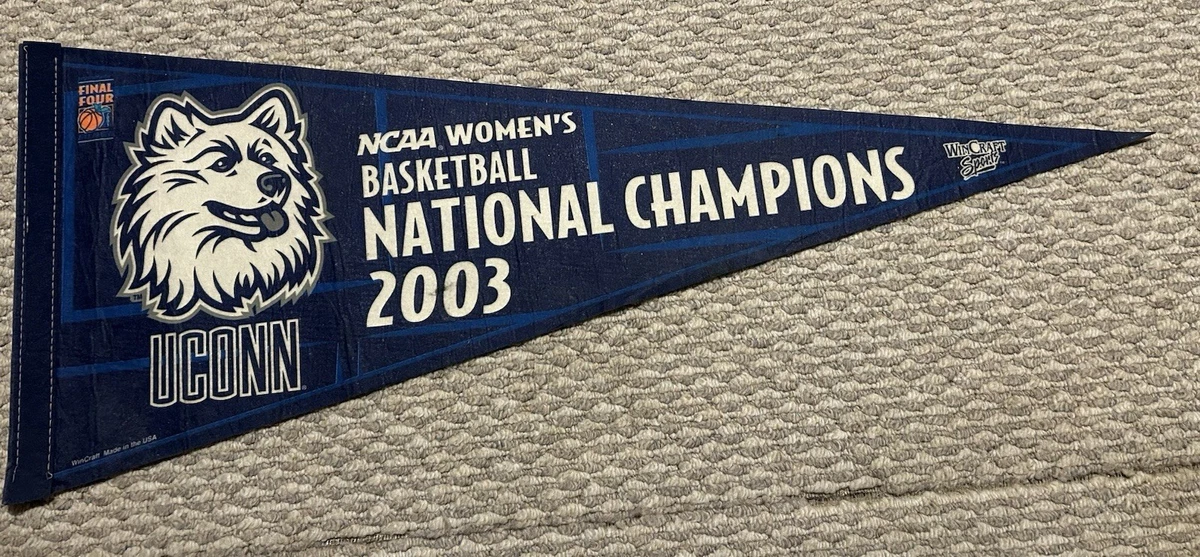 Rico Industries Connecticut Huskies License plate in the Exterior Car