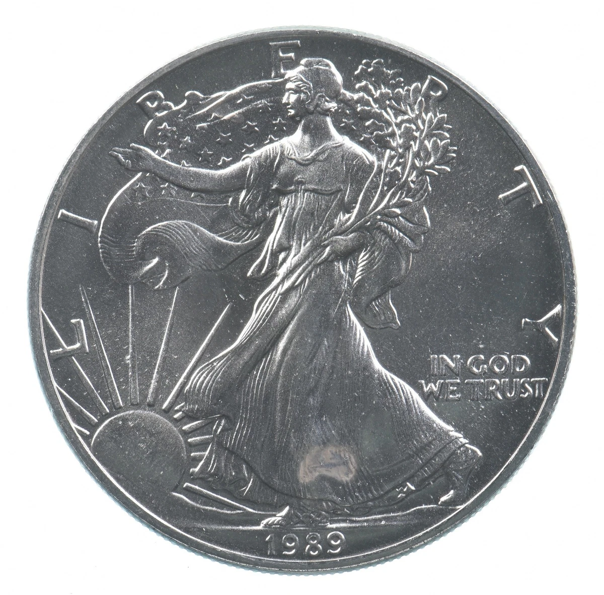 25+ American Eagle 1989 Silver Bullion Coins for sale | Updated