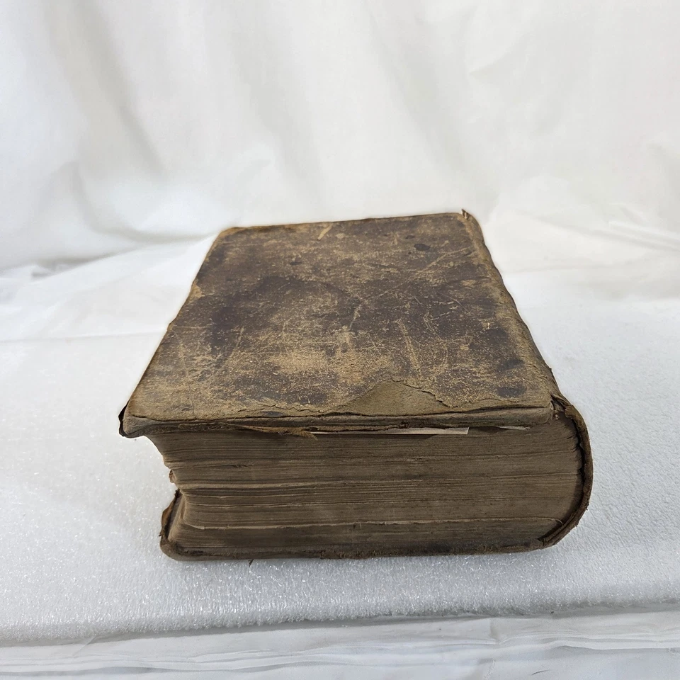 1858 Noah Webster Dictionary Merriam Springfield Leather Antique Pre-Civil War - Image 3 of 4