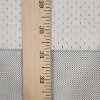 Foto 14 di 15