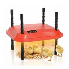 Chick Brooder Heating Plate 70W Adjustable Height Chicken Duckling Heater Red
