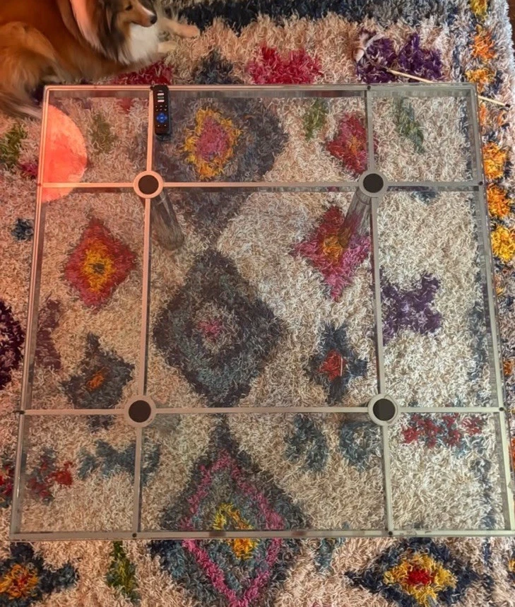 Mesa de centro Andre de Tobia Scarpa para Gavina / Knoll International, años 60 Foto 2 de 3