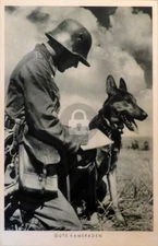 Germany Wehrmacht Army Soldier w/ Shepard Dog RPPC Photo Postcard COPY